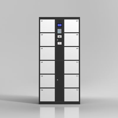 Süpermarket 12 Kapılı Parmak İzi Kilidi Barkod Elektronik Depo Dolabı